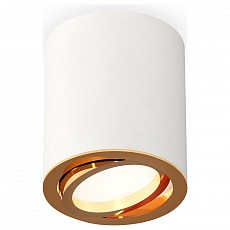 Накладной светильник ambrella light xs xs7421003